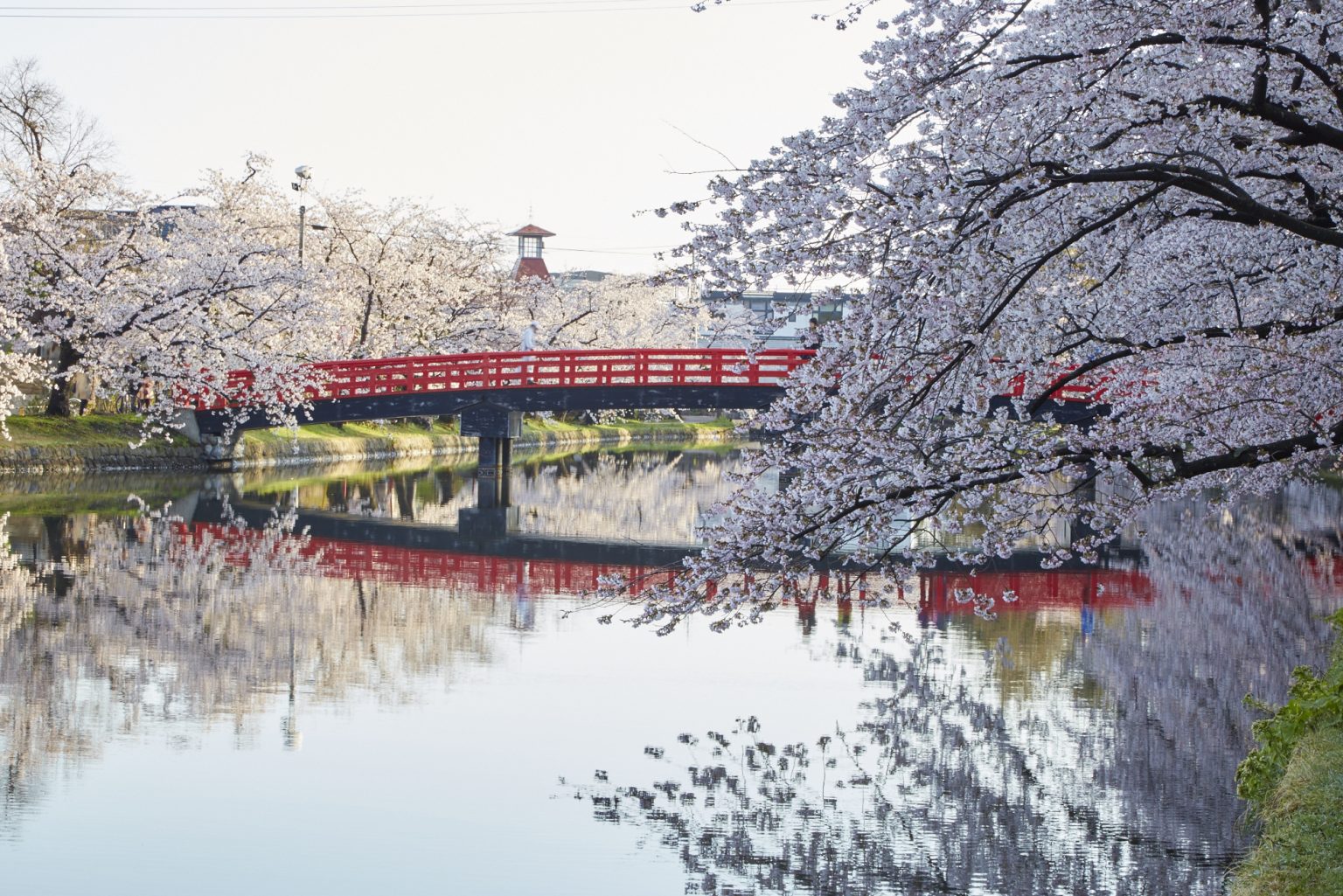 弘前公園・弘前城 | Go Toトラベルキャンペーン|ツアー情報