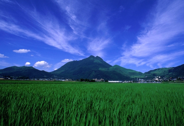 FDAで行く九州温泉