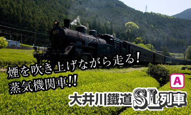大井川鉄道 SL乗車付き