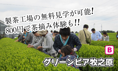 グリーンピア牧之原 製茶工場見学